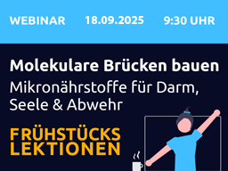 Frühstücks-Lektion Nr. 2: Molekulare Brücken bauen - Wie Mikronährstoffe den Weg zwischen Darm, Psyche und Immunität ebnen
