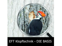 Webinar: EFT Klopftechnik zur Selbsthilfe - Die BASIS
