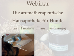 Aromatherapie für Einsteiger: Die natürliche Hausapotheke für deinen Hund
