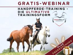 Gratis Webinar zum Handpferde-Training
