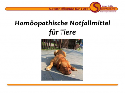 Webinar: Homöopathische Notfallmittel für Tiere