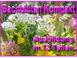 Webinar: Bachblüten Begleiter KOMPAKT 9 nach M. Gellisch