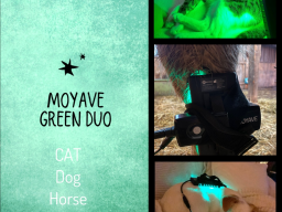 Webinar: Moyave GreenDuo Vinja Bauer™ Universalbox