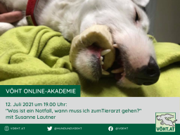 Webinar: Was ist ein Notfall, wann muss ich zum Tierarzt gehen?