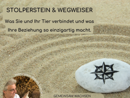 Webinar: Orientierungswebinar zum Workshop Stolperstein & Wegweiser