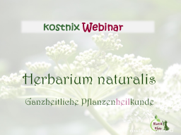 Webinar: Einblick in den Herbarium naturalis Kursus