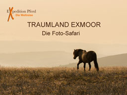 Webinar: Traumland Exmoor - Die Foto-Safari
