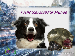 Webinar: Lithotherapie für Hunde