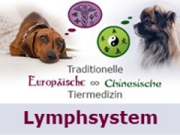 Webinar: gesHund Lymphsystem