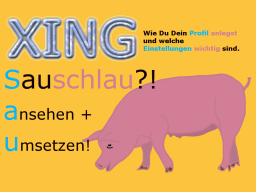 Webinar: Sauschlau! XING-Profil und wichtige Einstellungen.