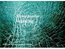Webinar: Stress positiv begegnen