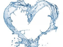 Webinar: Ist mineralfreies Wasser wirklich gesund?