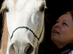 Webinar: Info- & Erlebnisabend: HorseTalk - Die Welt mit den Sinnen der Pferde wahrnehmen