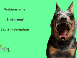 Webinar: Webinarreihe "Ernährung Hund - Teil 5 Verhalten"