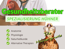 GESUNDHEITSBERATER FÜR HÜHNER - BLOCK 2