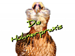 Webinar: FUCHS, MARDER & CO. - Sicherheitskonzepte für unsere Hühner