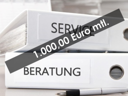 Webinar: 1.000,00 € mtl. durch Akquise FÜR Finanzdienstleister (KEIN Außendienst, KEIN Vermittler nach § 84 HGB)