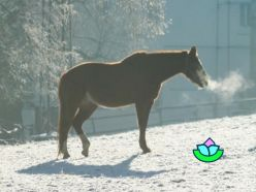 Anders Fasten mit Birgitt 2026 (Teil 1von 7: Atem)