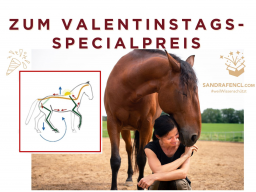Webinar: Ganzheitliche Pferdetrainings-Blickschulung zum Valentinstagspreis