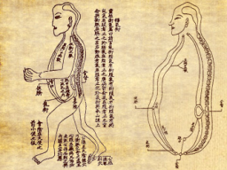 Webinar: Einführung in das grosse Spektrum der 8 ausserordentlichen Meridiane der Traditionellen chinesischen Medizin