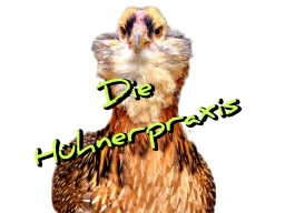 MAREK - Mein bestes Konzept