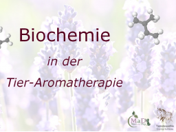 Webinar: Biochemie in der Tier-Aromatherapie Teil 3 / 3