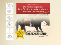 Webinar: Reiten - Die Ausbildungsskala: Dein Pferd systematisch reiten (klassisch und western)
