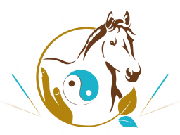 Webinar: Block 4 - TCVM für Pferde - Advanced Praktiker