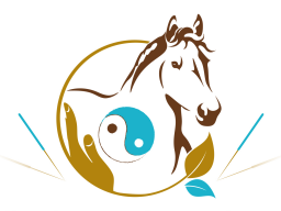 Webinar: Block 1 - TCVM für Pferde - Advanced Praktiker