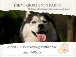 Die verborgenen Fäden  Wie Körper, Seele & Verhalten zusammenhängen