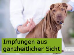 Webinar: Impfungen für Hund & Katze aus ganzheitlicher Sicht