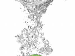 Webinar: Welches Wasser ist gesund für uns?