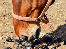 Kotwasser-Meine besten Tipps