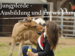 Webinar: Jungpferde - Entwicklung und tiergerechte Ausbildung