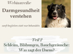 Webinar: Schleim, Blähungen, Bauchgeräusche: Was sagt der Darm?