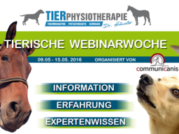 Webinar: Hundephysiotherapie (Dr. Kirsten Häusler)