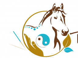 Webinar: Block 5 - Osteopunktur für Pferde