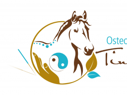 Webinar: Block 9 - Osteopunktur für Pferde