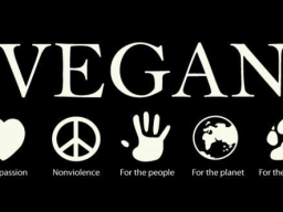 Webinar: Vegan mit Plan
