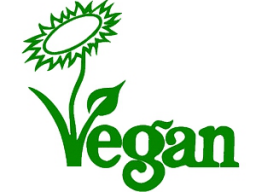 Webinar: Vegan Basics Kochkurs