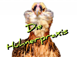 Webinar: ERSTE HILFE FÜR HÜHNER - TEIL 1