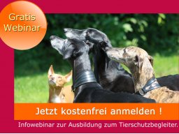 Webinar: Tierschutzbegleiter - Infowebinar zur Ausbildung