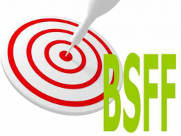 Webinar: So formulierst du starke Ziele für dein BSFF-Selbstcoaching