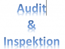 Webinar: Audit und Inspektion auf Distanz - Teil 2 von 3