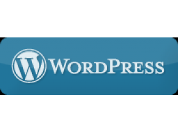 Webinar: Mit WordPress in nur 1 Stunde online
