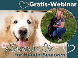 Hunde-Senior - Natürliche Unterstützung mit ätherischen Ölen mit Yvonne Kempter
