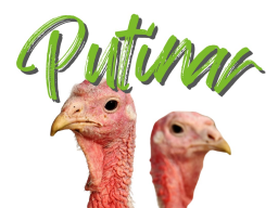 GESUNDHEITSKONZEPTE FÜR PUTEN