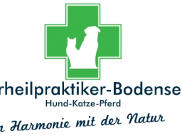 Akupunktur Teil III