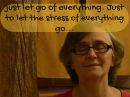 Webinar: Just Let Go of Everything. Just to Let The Stress of Everything Go...