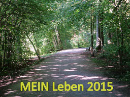 Webinar: MEIN Leben 2015: Die Weichen richtig stellen